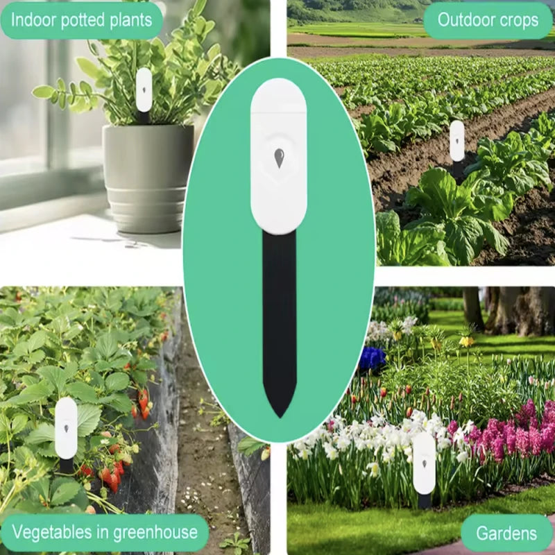 Haozee - Tuya Smart Life Zigbee plant sensor (temperature + humidity)