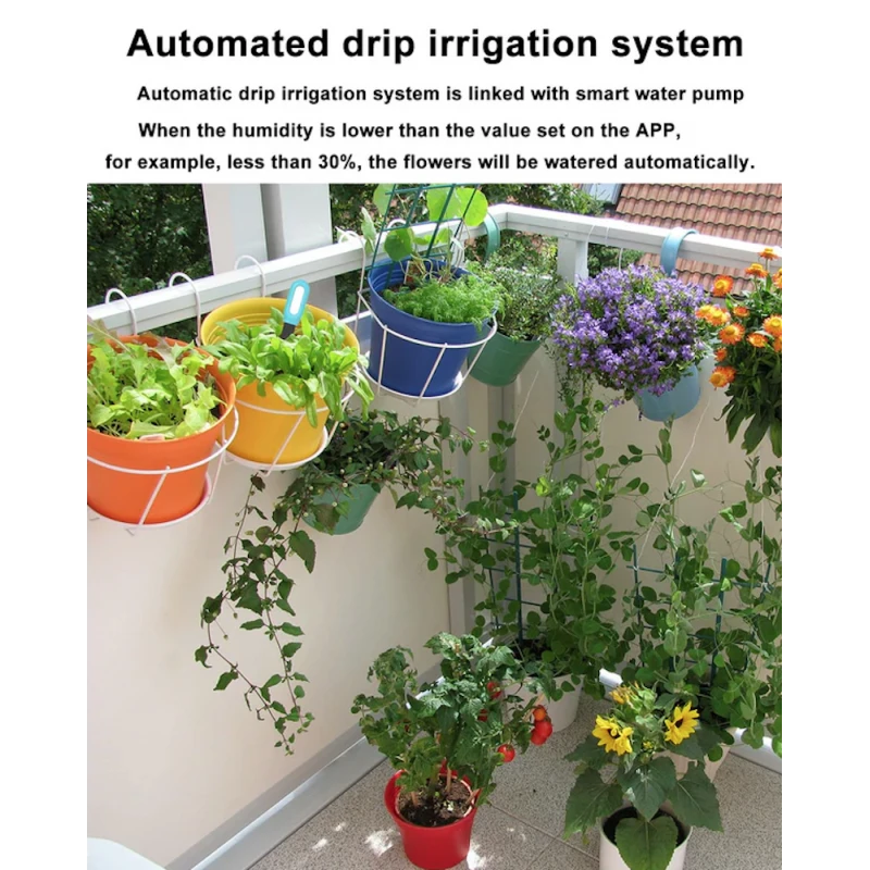 Haozee - Tuya Smart Life Zigbee plant sensor (temperature + humidity)