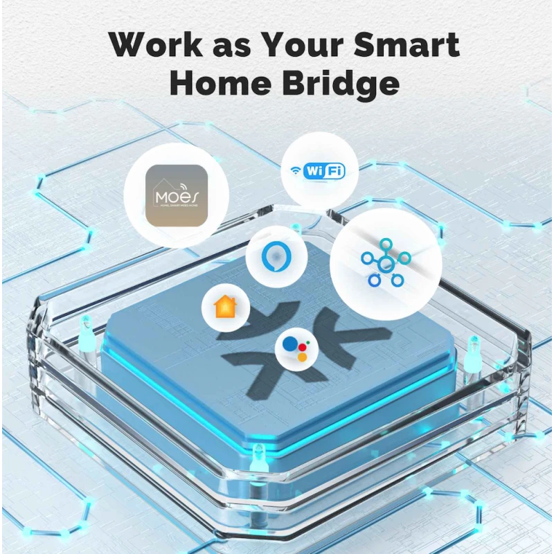Moes - Matter WIFI switch module 10A (1 channel) MWM-104-M-MS