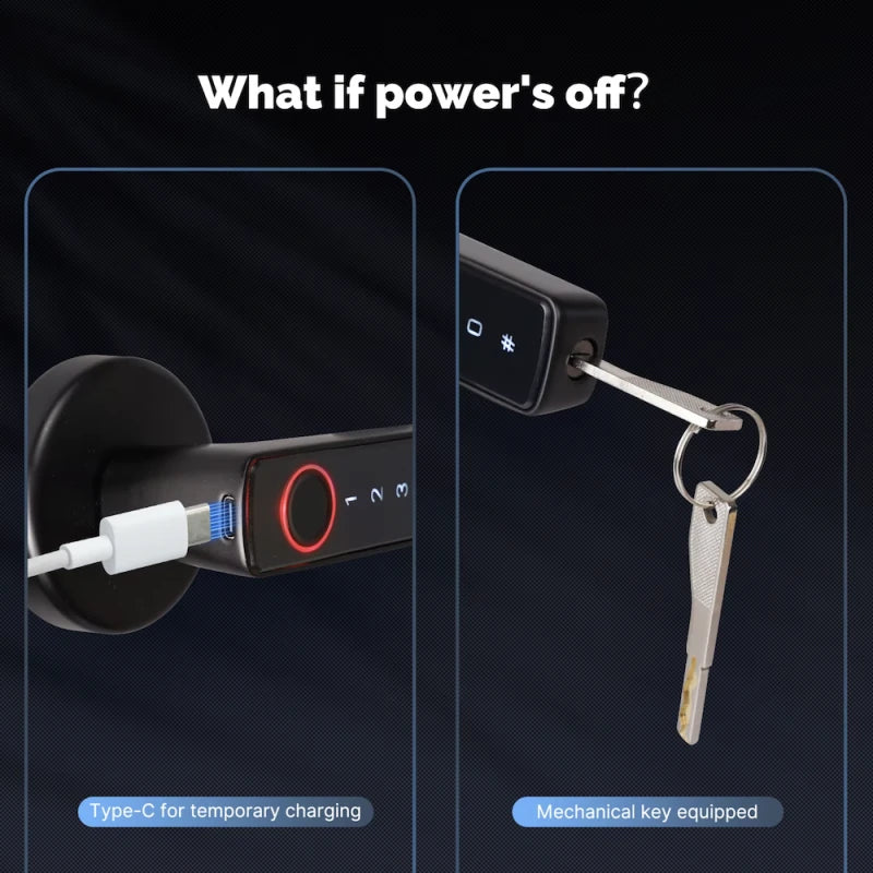 Moes - Zigbee Tuya door handle lock with fingerprint recognition