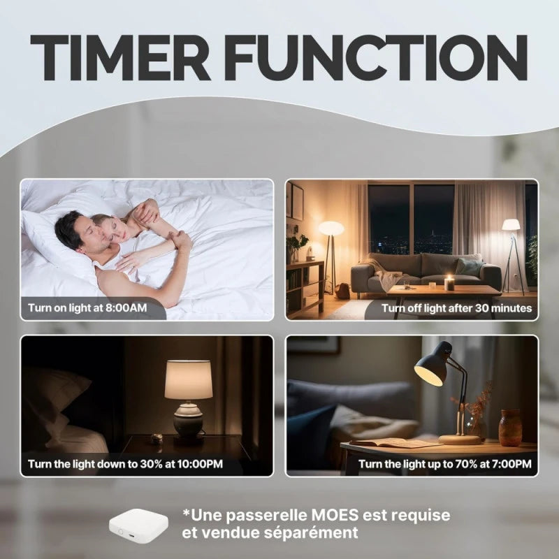 Moes - Zigbee Tuya 2-channel dimmer module ZM-105B-M