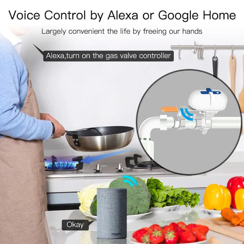 Moes - Zigbee motorized valve Tuya Smart Life ZV-QY