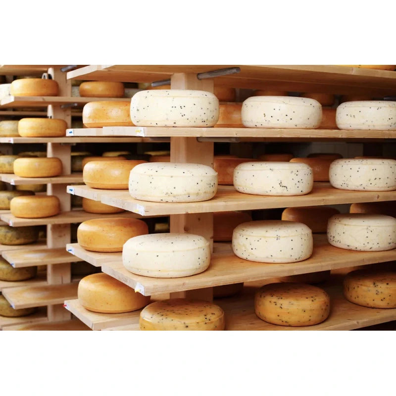 Shelly - Outdoor IP54 black Zigbee or Bluetooth temperature and humidity sensor Shelly BLU H&T ZB